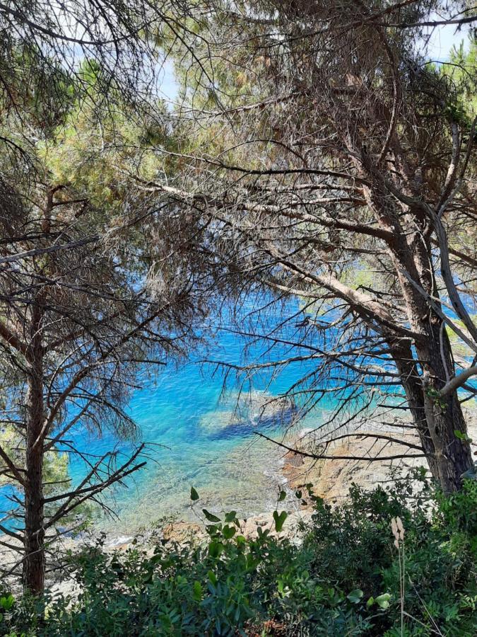 Appartamento I Soffioni La Spezia Buitenkant foto
